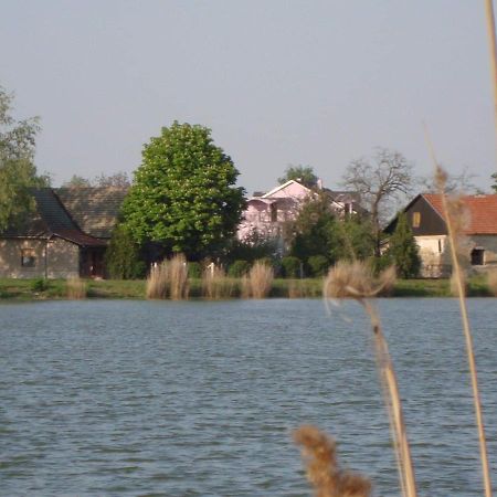 Vila Madams - Palic-Serbia Exteriör bild