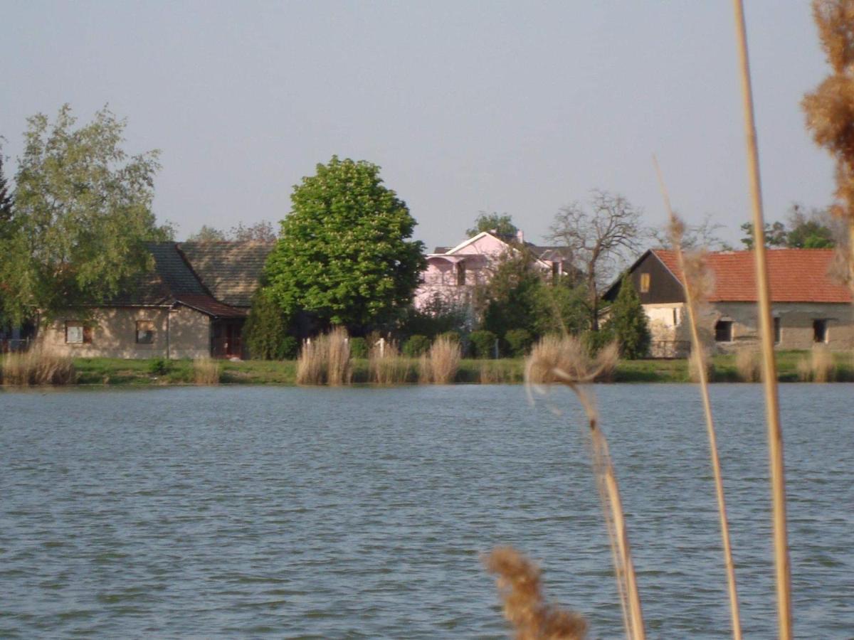 Vila Madams - Palic-Serbia Exteriör bild