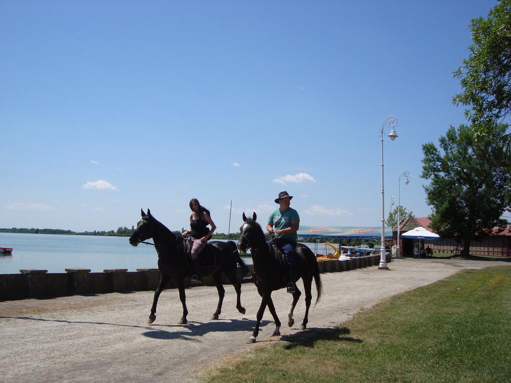 Vila Madams - Palic-Serbia Exteriör bild