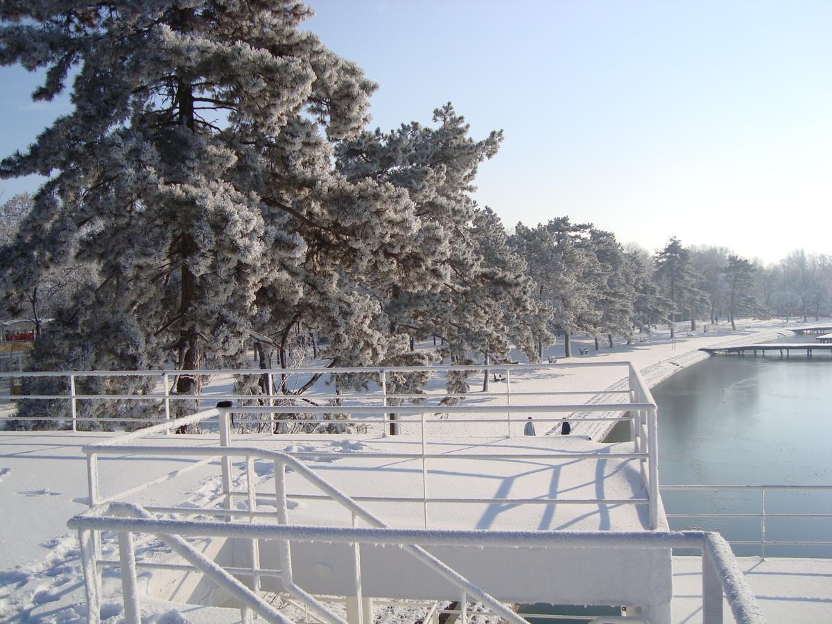 Vila Madams - Palic-Serbia Exteriör bild