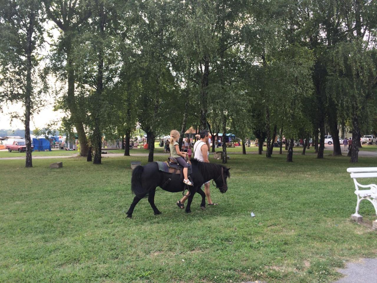 Vila Madams - Palic-Serbia Exteriör bild